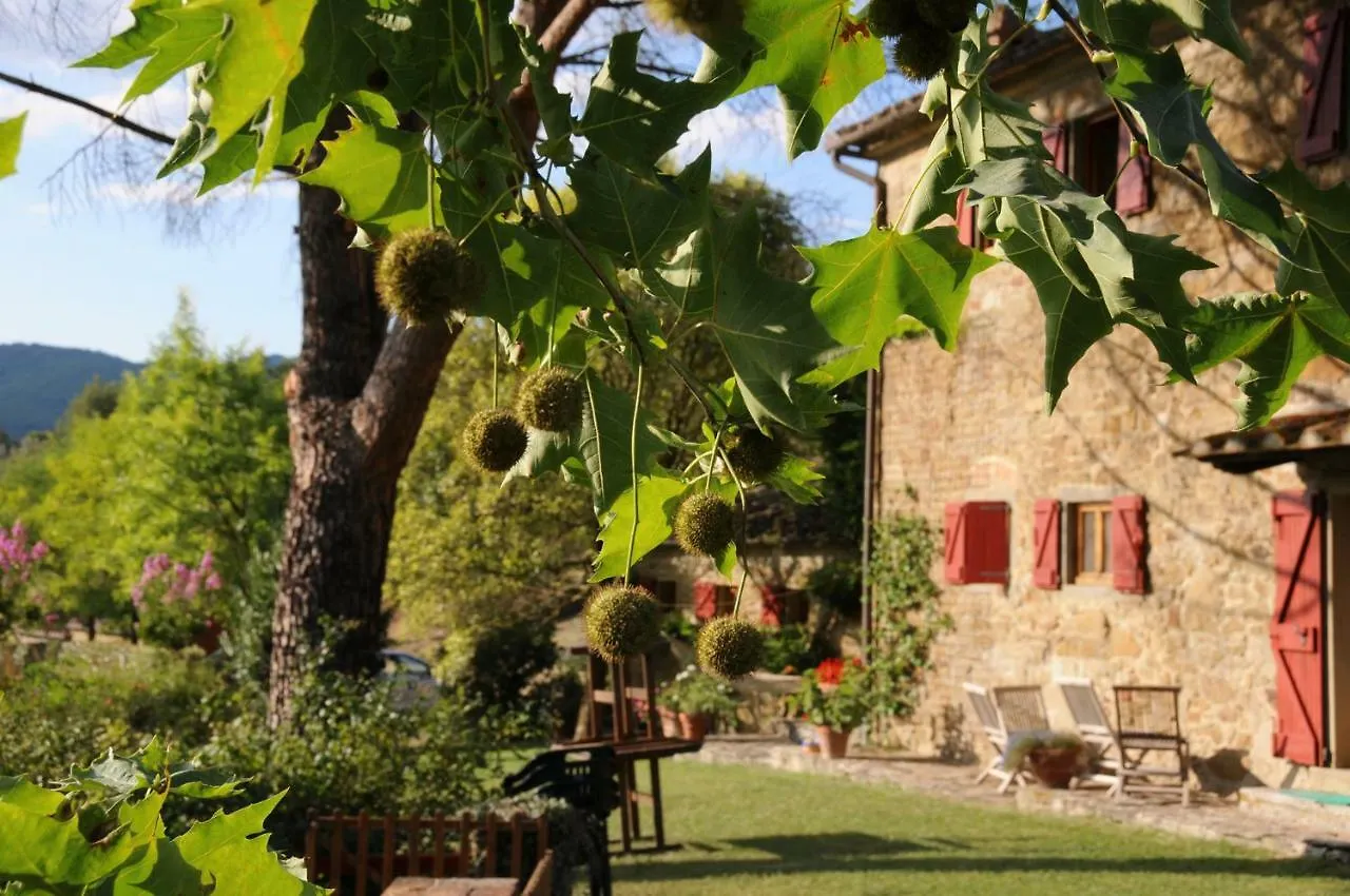 Le Volpaie Villa Cortona